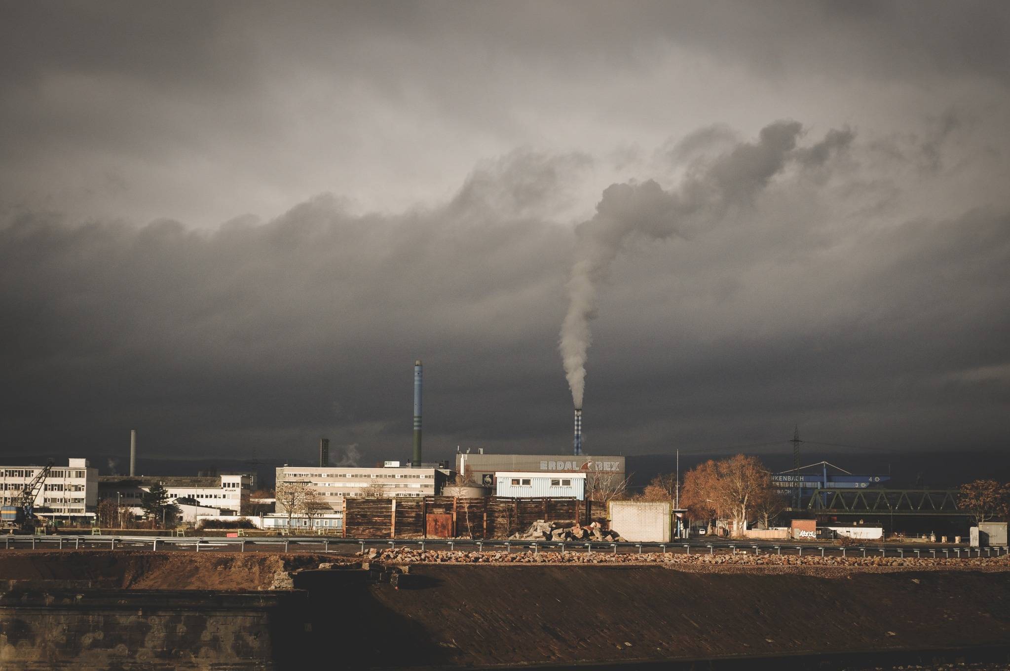 Youth Movements Drive Policy Change on Global Emissions