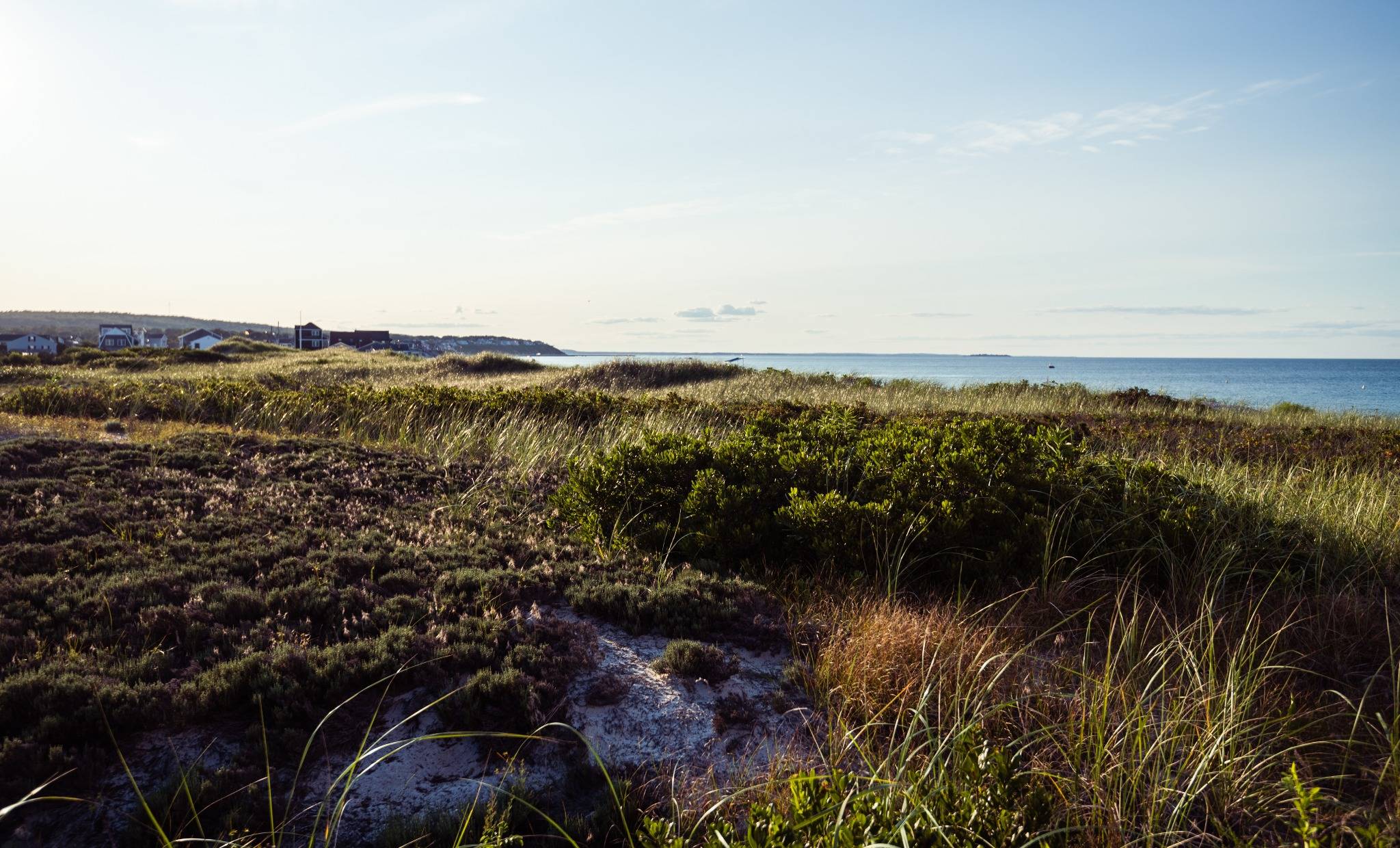Cities Pilot Climate Adaptation Projects with Emphasis on Practical Funding Paths