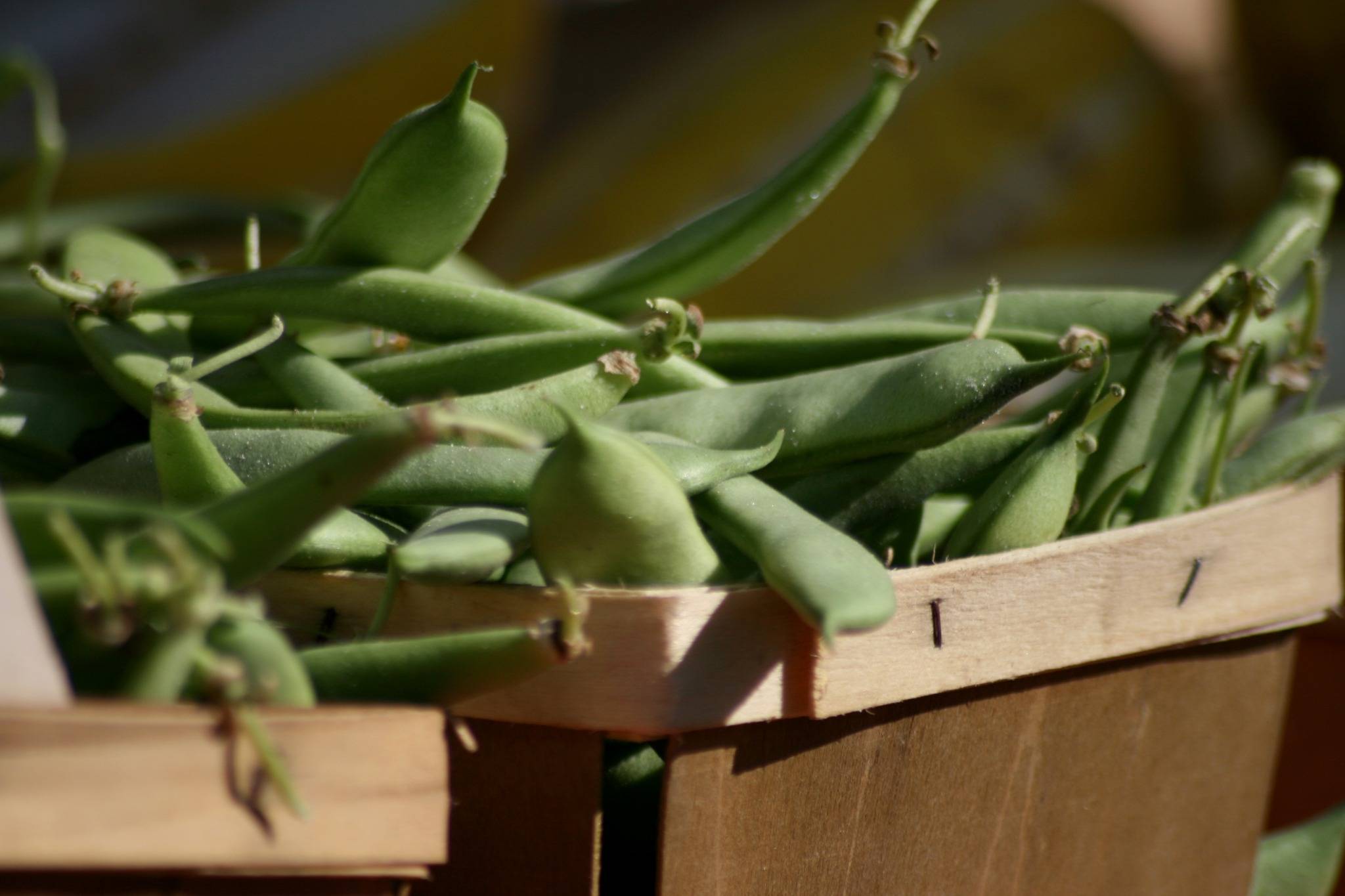 Agriculture and Innovation: Feeding a Changing World Sustainably