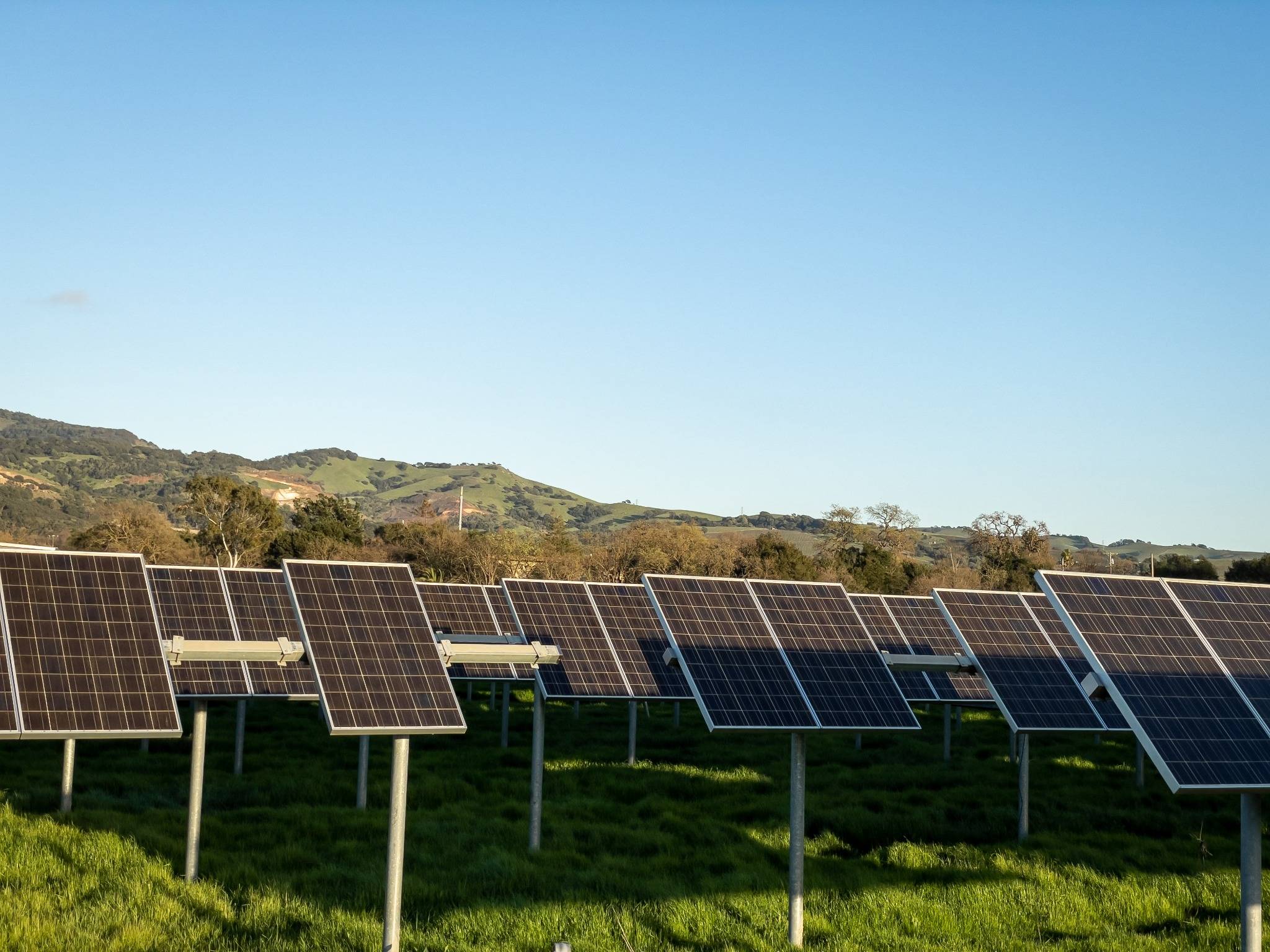 Renewable Energy Projects Face New Coordination Requirements Under Regional Rules
